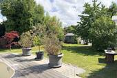 Gartenansicht - 