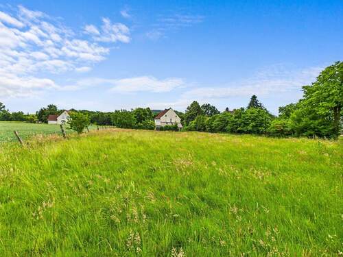 Einfamilienhaus Hinteransicht Wiese - 