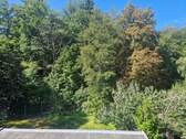 Blick in den Garten, Südseite - 
