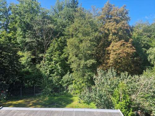 Blick in den Garten, Südseite - 