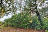 Baum-/Strauchbewuchs - Grundstück in Storkow zum Kaufen
