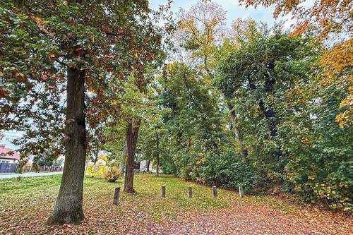 Wegansicht - 
