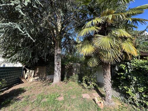 Garten - 