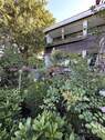 West Ansicht. - * Buchenberg- vermietetes Reiheneckhaus mit Balkon, Terrasse & Garten! *