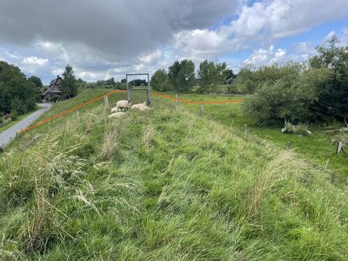 zugehöriges Deichgrundstück - Grundstück in Moorrege / Klevendeich zum Kaufen