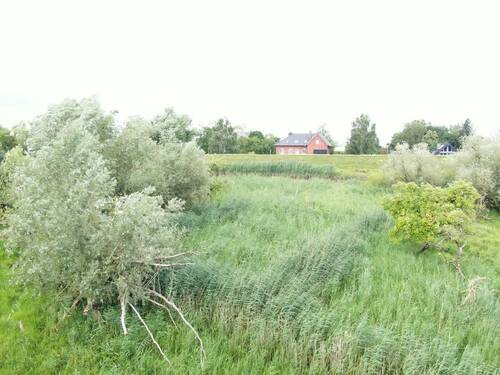 Deichgrundstück - 