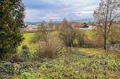 Ausblick - 
