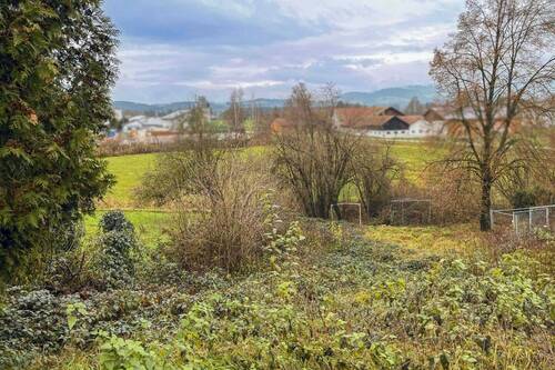 Ausblick - 