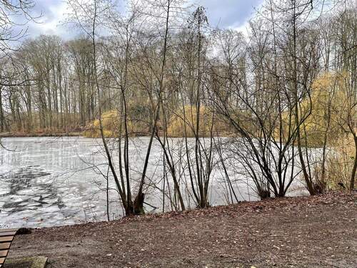 Salzteich in der Nähe - 