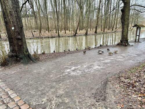 Beste in der Nähe - 