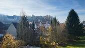 Blick zum Schloss - 