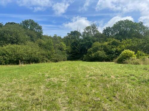 Blick in Richtung Grundstück 1,2,3 - 