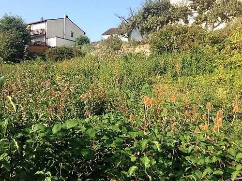 Bild 2 - Bau Grund mit Weitsicht in Stadtlage