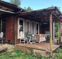 Ferienhaus auf pflegeleichtem Grundstück im Wald - Hitzacker