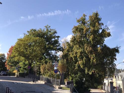 Umgebung - 