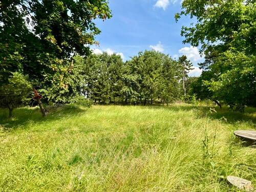 Gartenanblick - 