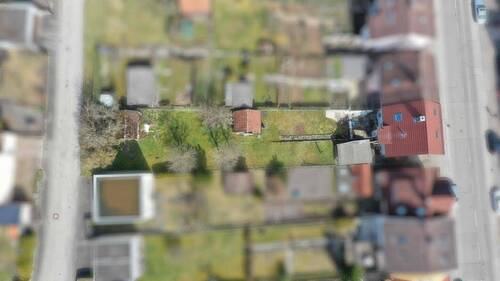 gesamtes Grundstück - 