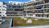 Neubau MWG mit 3 Zimmern - 3 Zimmer-Neubau MWG mit Lift und TG-Stellplatz in gesuchter City Lage Kassel - MitteVorderer Westen