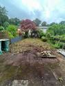 garten 1.jpg - 