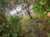 garten 2.jpg - 