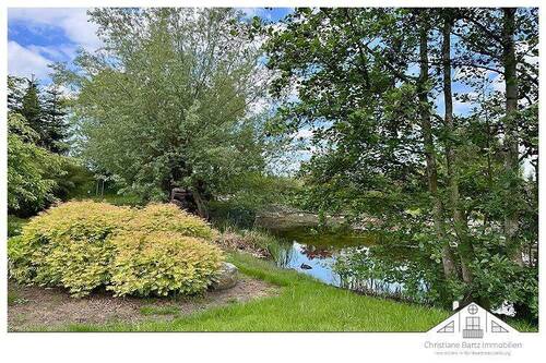 Blick auf den Teich - 