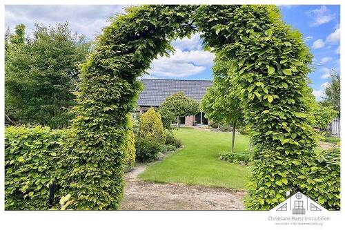 Blick vom hinteren Garten aus - 