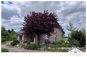 Hausansicht - 