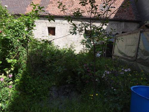 DSCN6454.JPG - 