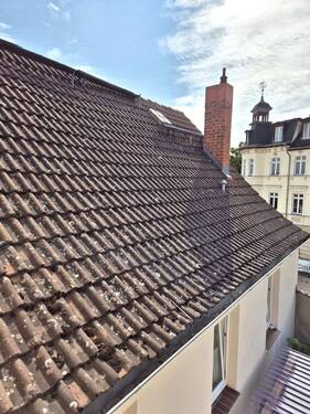 20250808_101018[1].jpg - Einfamilienhaus in Bad Freienwalde (Oder) zum Kaufen