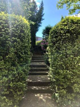 Gemeinschaftsgarten - 