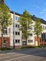 Cranger 145 3 - 