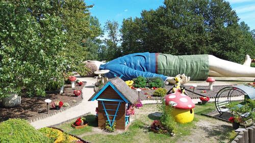 Bild 8 - 