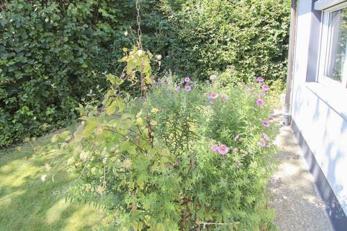 Garten Bild IV - 