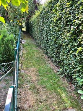 Garten_Weg - 