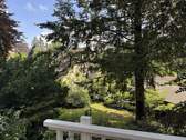 Blick in den Garten - 