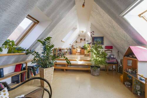 Dachspitz - 