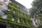 Hausansicht im Sommer - 