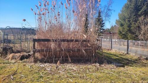 Bio-Kläranlage - 6 Zimmer Einfamilienhaus in Drachhausen