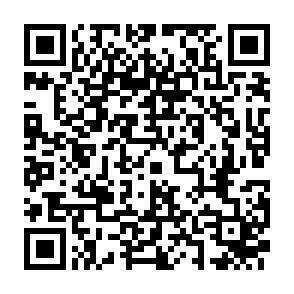 QR-Code - 