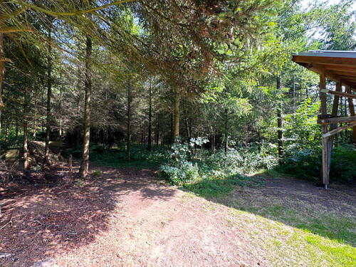 Wald - 