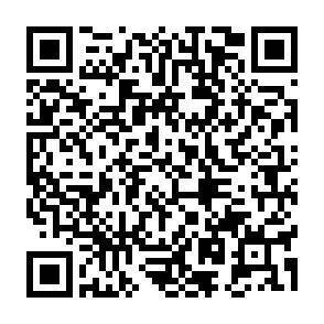 QR-Code - 