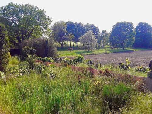 Ihr neuer Ausblick? - 