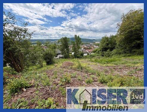 Blick auf das Grundstück - Großzügiger Bauplatz in ruhiger Aussichtslage von Dogern - ideale Voraussetzungen für Ihr Eigenheim.
