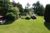 Blick in den Garten - 
