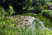 Gartenteich - 
