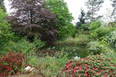 Fischteich - 