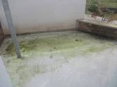 Terrasse - 