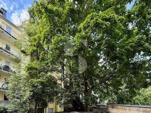 Blick Süd-West-Balkon - 