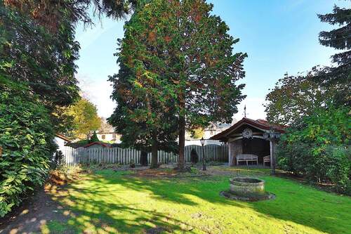 Blick in den Garten - 