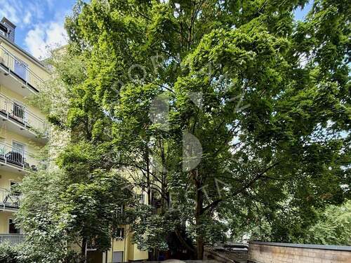 Blick Süd-West-Balkon - 